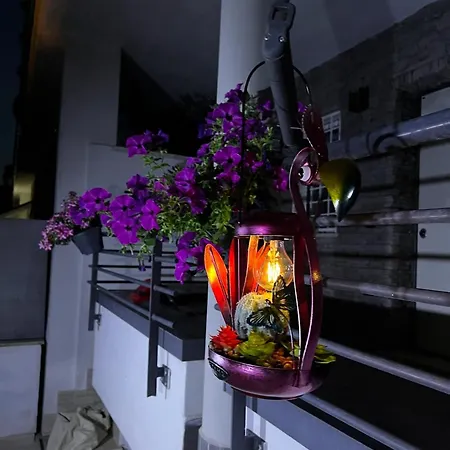 度假居 Paola's House Vitinia