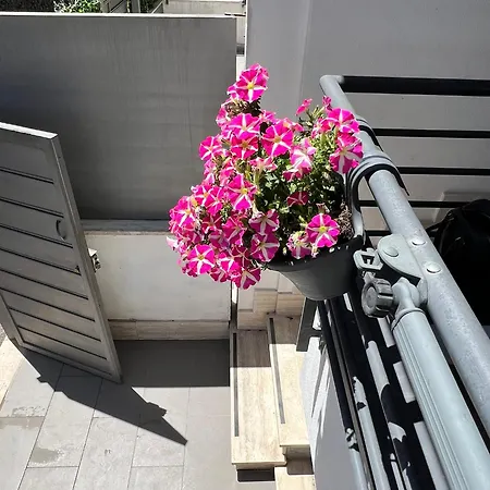 Paola's House 度假居 *